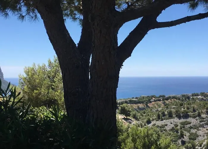 Magnifique Studio Cassis